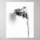 Search for black white sunflower art Botanical