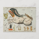 Search for constellations postcards Zodiac