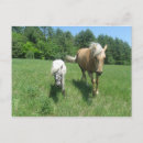 Search for morgans postcards Farm