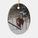 Search for paint horse christmas tree decorations Equine