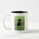 Search for agility mugs Sport