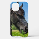 Search for mane iphone cases Equestrian