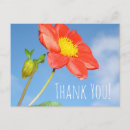 Search for bright red flower cards Summer