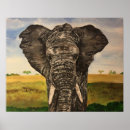 Search for african art posters Animal