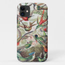 Search for hummingbird iphone cases Ernst haeckel