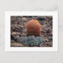 Search for thumbs postcards Desert