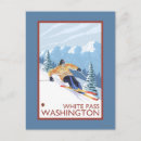Search for skiers postcards States