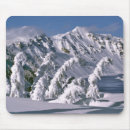 Search for oregon state mousepads Tree