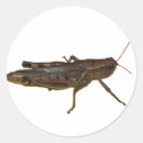 Search for hopper stickers Grass