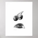 Search for levitating posters Levitate