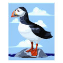 Search for puffin art Cute
