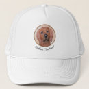 Search for coonhounds hats Dog