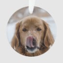 Search for golden retrievers christmas decor Animals