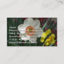 Search for daffodil business cards Narcissus