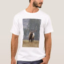 Search for rolf nussbaumer tshirts Male