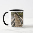 Search for mangroves mugs Tropical