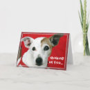 Search for jack russell dog cards Terriers