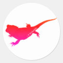 Search for beardie stickers Pet