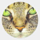 Search for tabby cat kitten stickers Animal