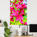 Search for crabapple posters Tree