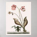 Search for vintage frog posters Retro