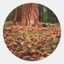 Search for talbot stickers Bright