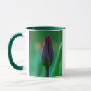 Search for fresh mugs Nature