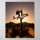 Search for joshua tree posters Travel