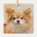 Search for long haired chihuahua christmas tree decorations Puppy