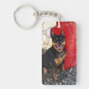 Search for pinscher dog key rings Animal