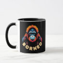 Search for borneo kitchen dining Animals
