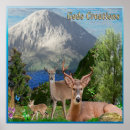 Search for animals bible verse art Christian