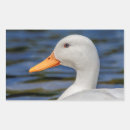 Search for white duck stickers Animal