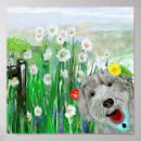 Search for labradoodle art Cute