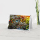 Search for droplets cards Closeup