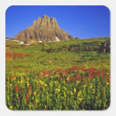 Search for glacier labels Colourful