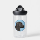 Search for black labrador water bottles Cute