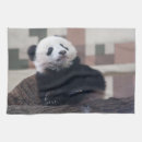 Search for black bear tea towels Cute