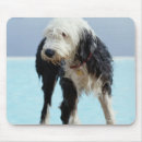 Search for wet mousepads Water