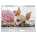 Search for chihuahua calendars Puppy