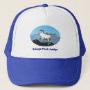Search for peaked hats Nature