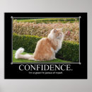 Search for funny cat posters Inspirational