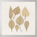 Search for naturalist posters Vintage