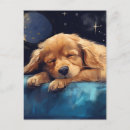Search for sleeping moon postcards Cute