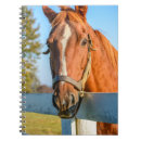 Search for horse racing notebooks Farm