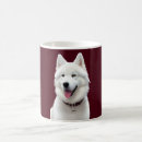 Search for samoyed coffee mugs Pets