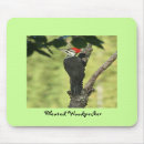 Search for woodpecker mousepads Wildlife