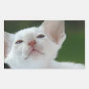 Search for big ears stickers White