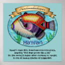 Search for triggerfish posters Sea