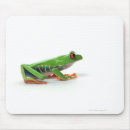 Search for tree frogs electronics Sitting